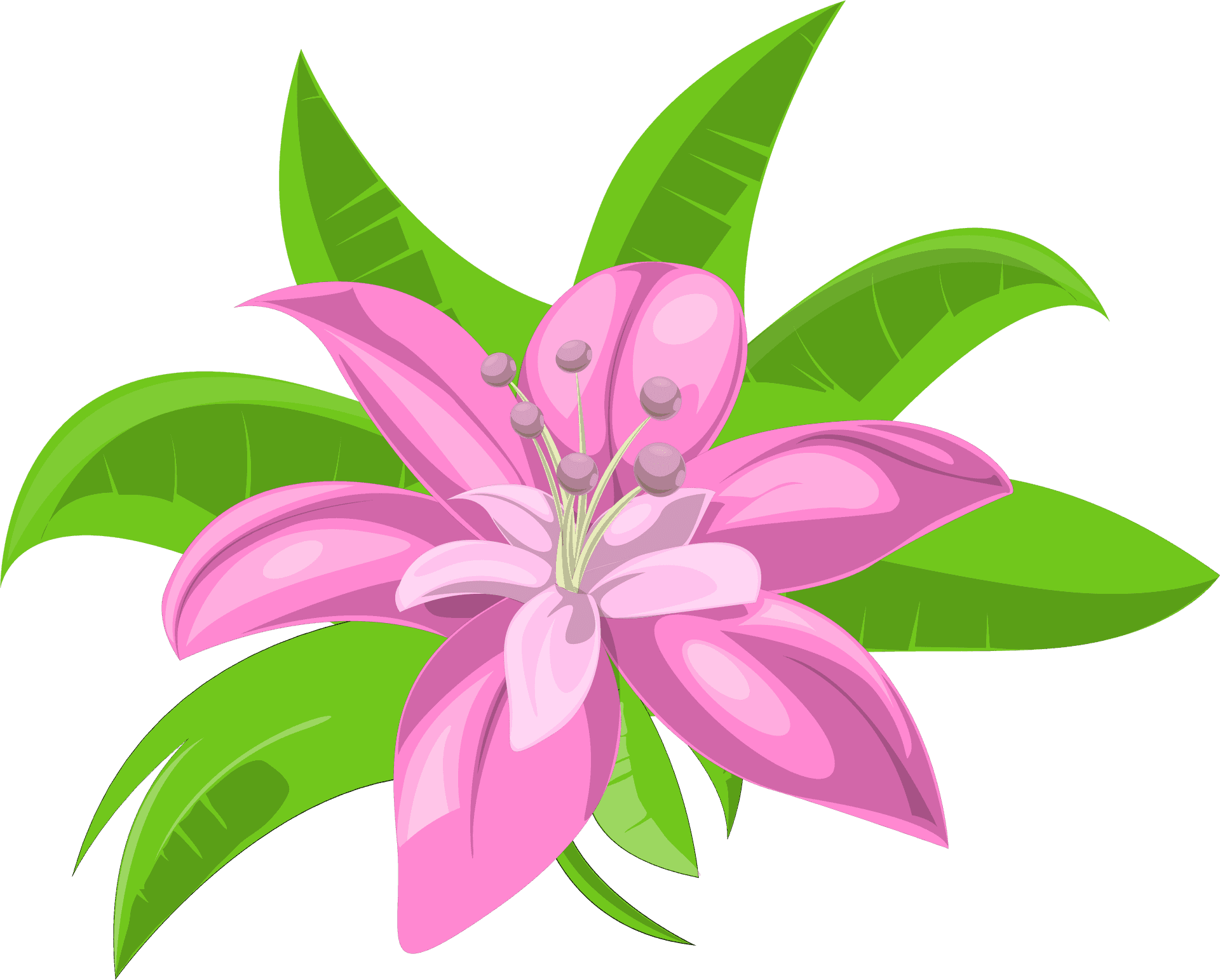 Tropical Pink Flower Illustration PNG