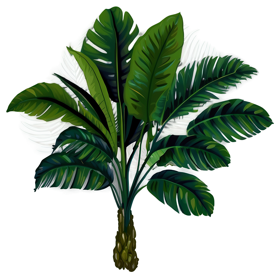 Tropical Plant Png 81 PNG