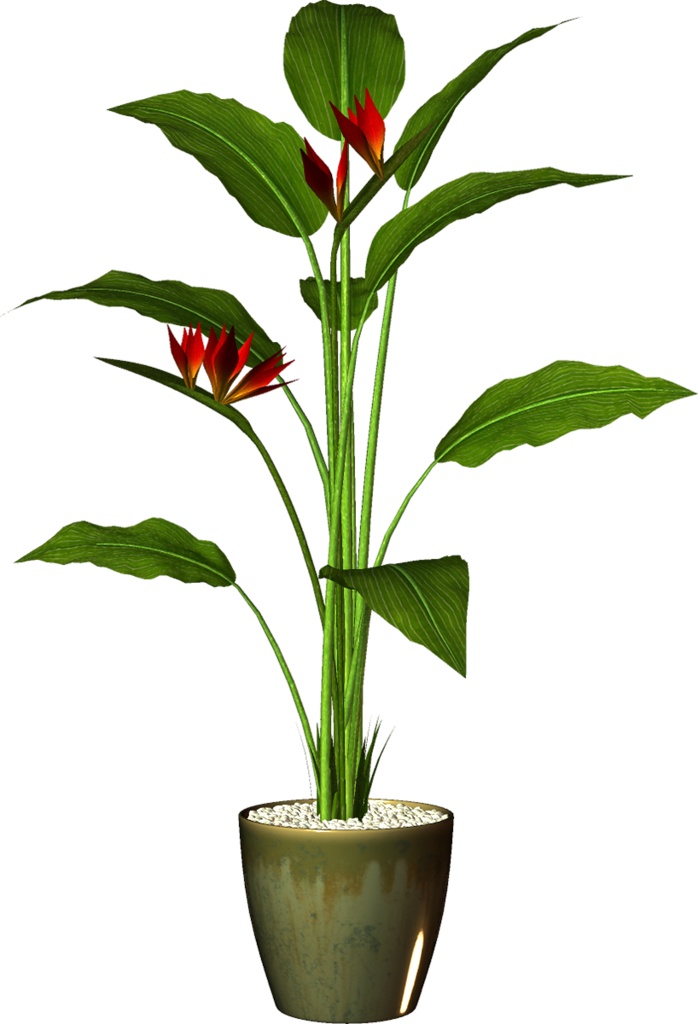 Tropical Plantin Green Pot PNG