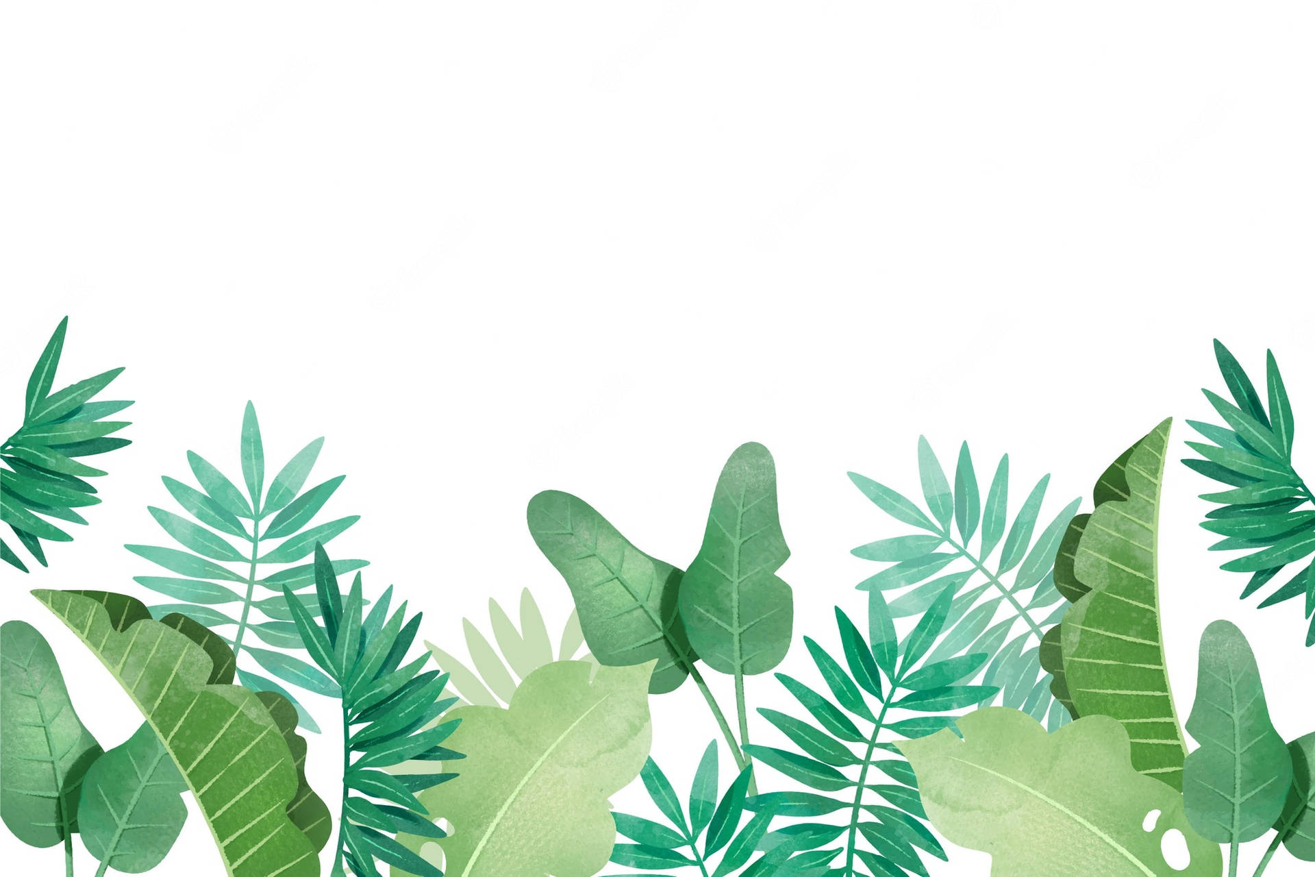 Tropical Plants And Leaves Vector Art Wallpaper