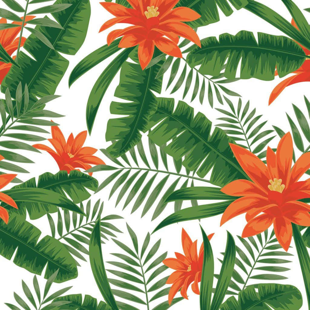 Tropiskaväxter Orange Liljor. Wallpaper
