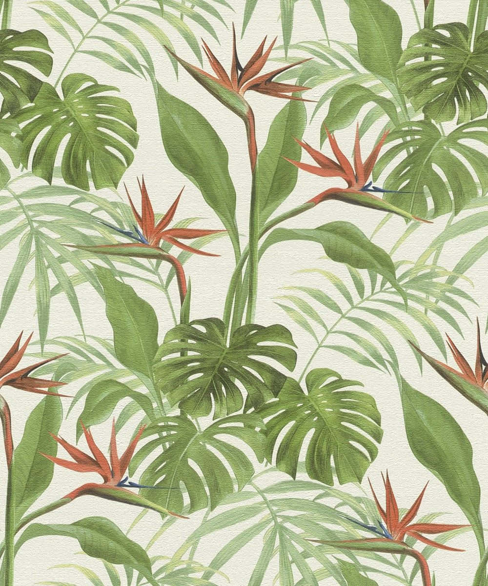 Tropical Plants Minimalist Pattern Background Wallpaper