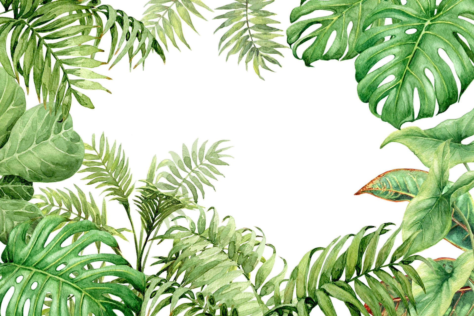 Tropischepflanzen Ästhetischer Hintergrund Wallpaper