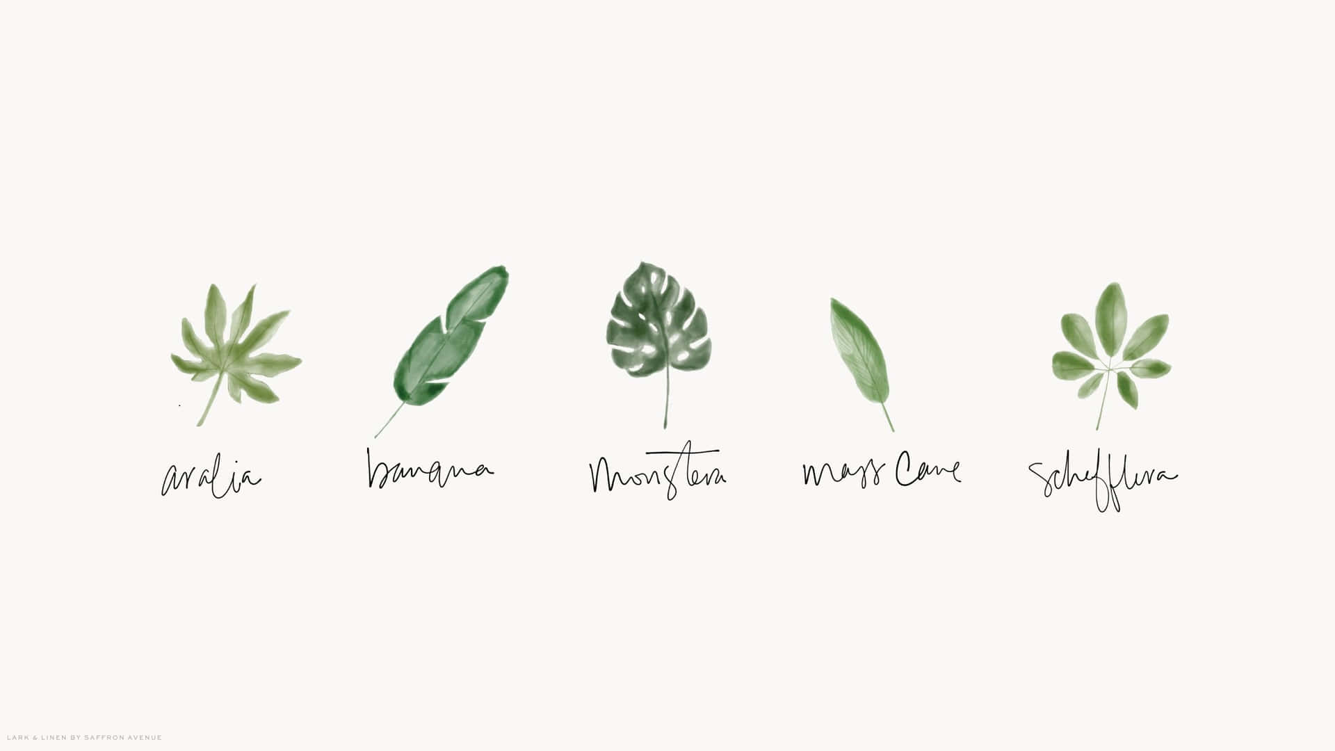 Tropischepflanzen Niedliches Hintergrundbild Auf Dem Desktop Wallpaper