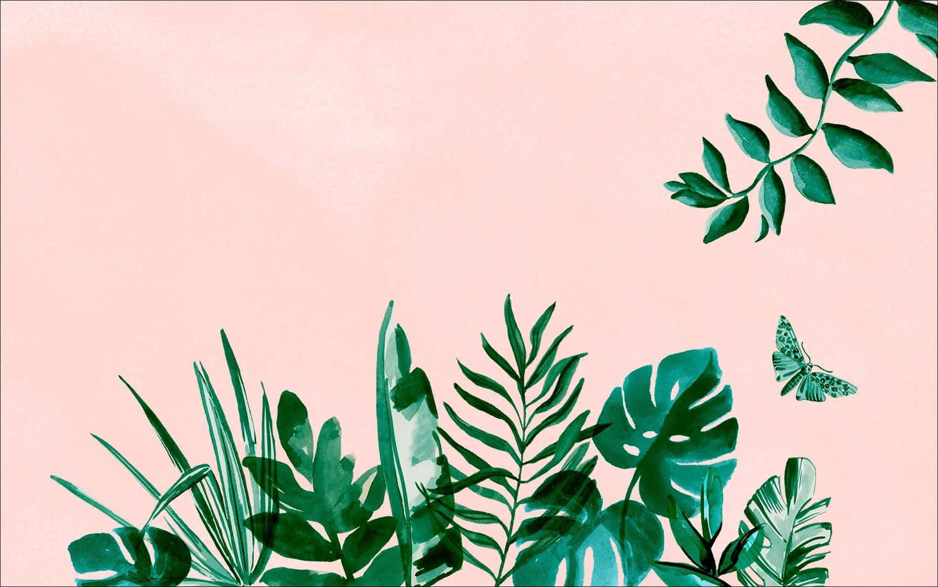 Tropical Plants Aesthetic Pink Desktop Wallpaper
