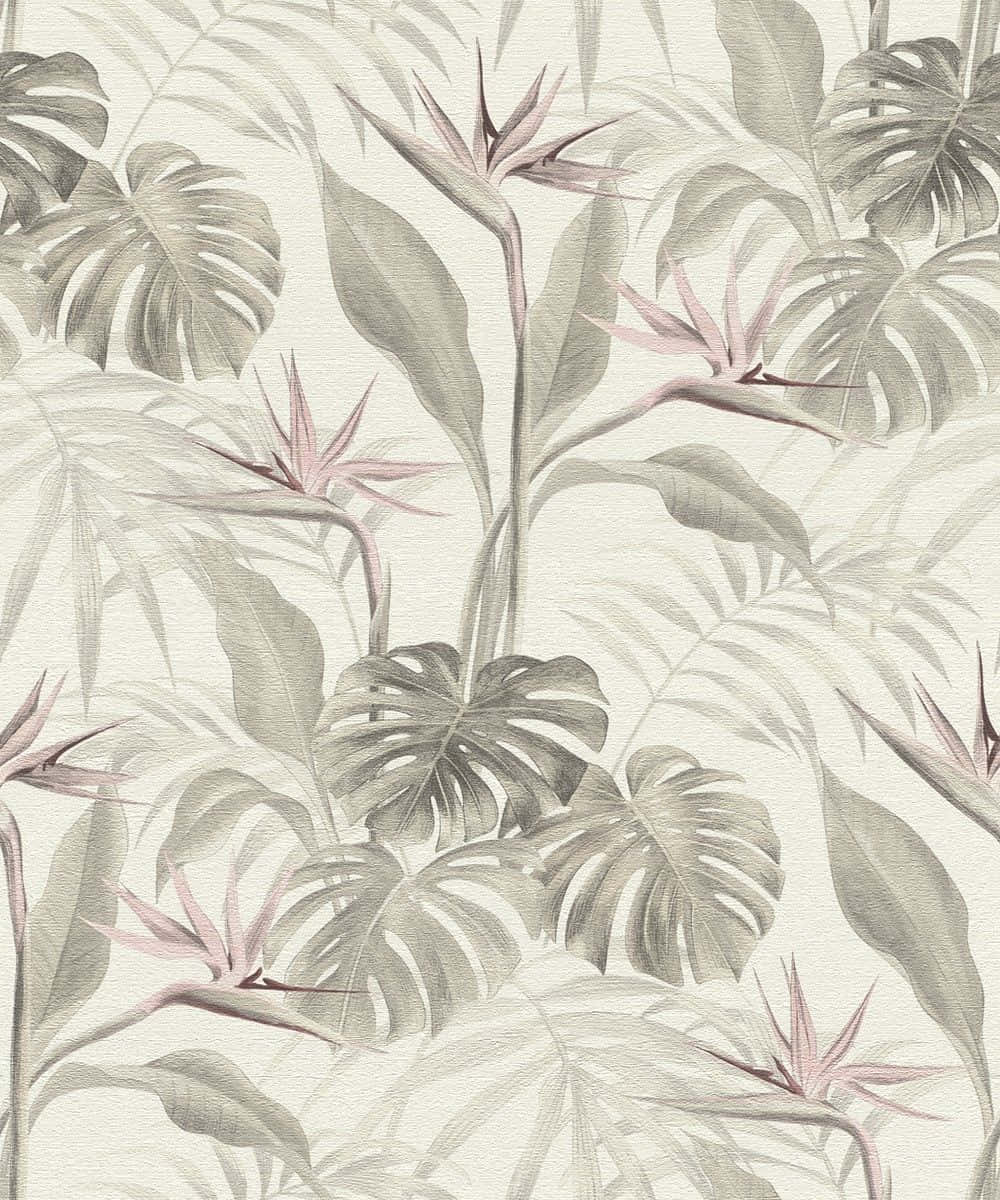 Tropischepflanzen In Schwarz Und Weiß Wallpaper
