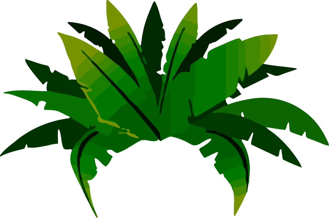 Tropical Rainforest Plant Illustration PNG