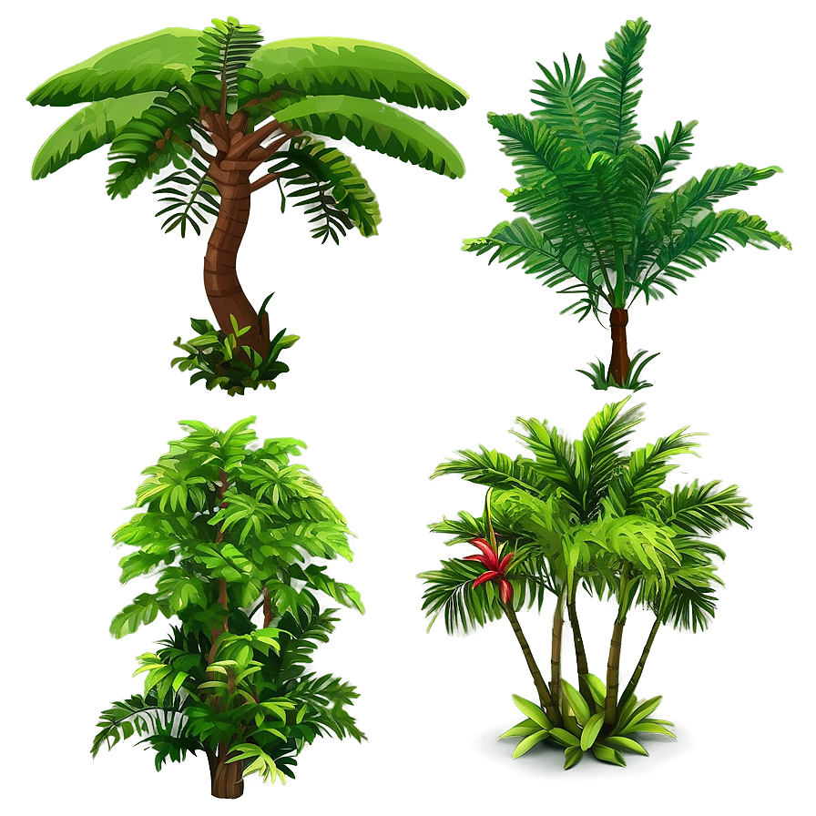 Tropical Rainforest Trees Png 06262024 PNG