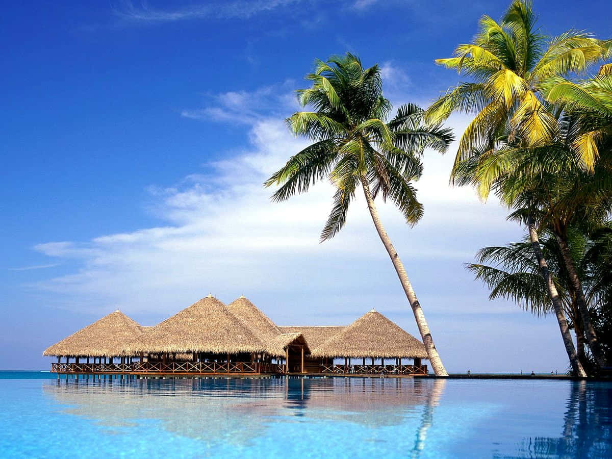 Tropical Resort Paradise Caribbean Wallpaper