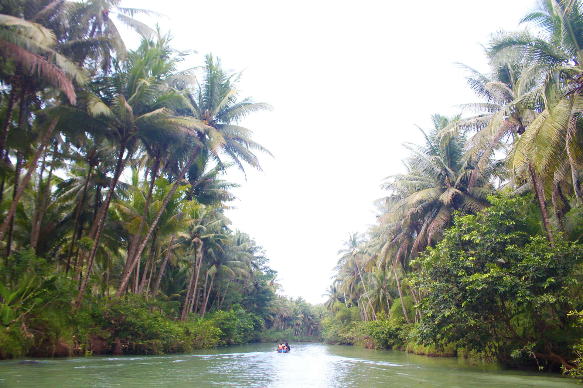 Tropical_ River_ Boat_ Tour Wallpaper