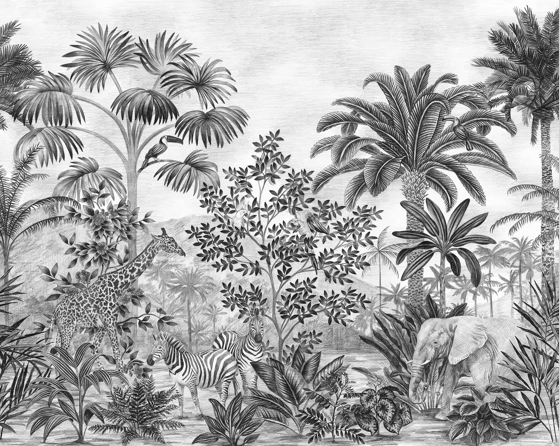 Tropical_ Safari_ Sketch_ Mural.jpg Wallpaper