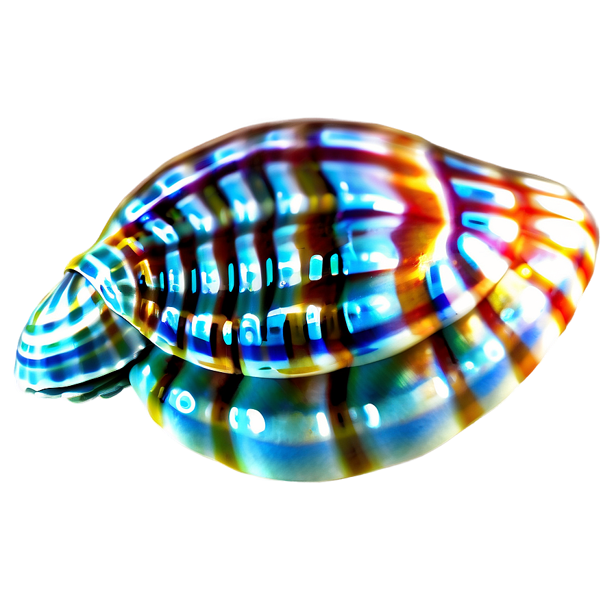 Tropical Seashell Design Png Oxx PNG