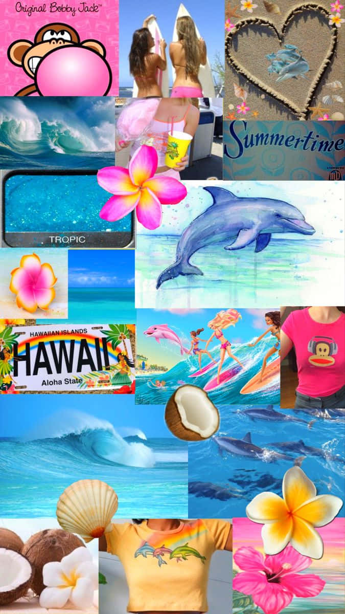 Tropical Summer Collage Hibiscus Dolphin Coconut Wallpaper