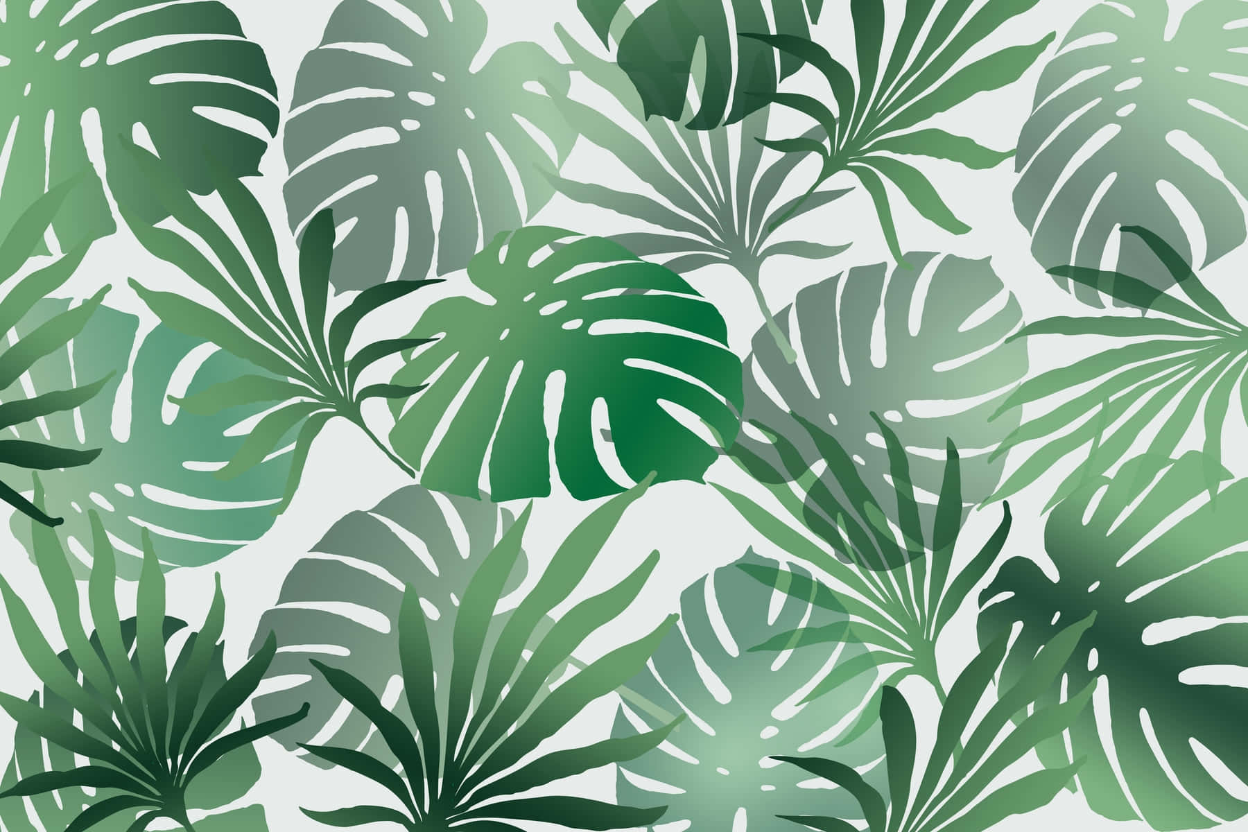 Tropical Summer Monstera Leaves Illustration Wallpaper
