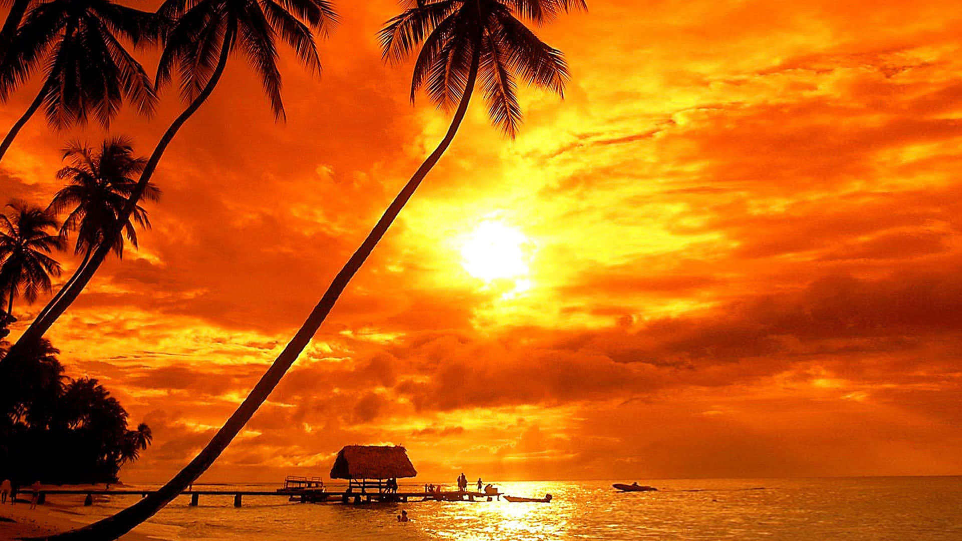 Tropisksolnedgång Med Fantastiskt Orange Sken. Wallpaper