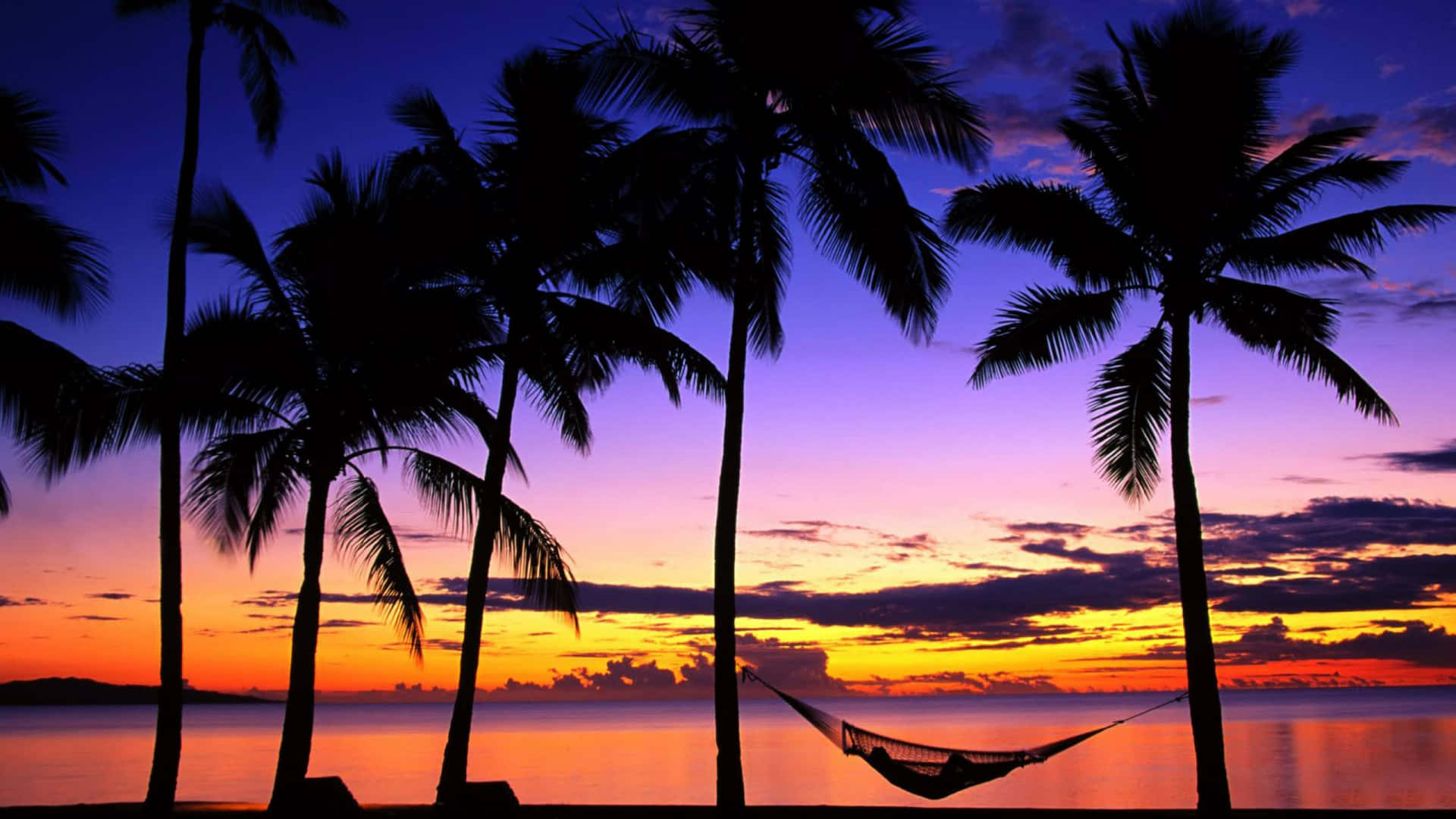 Tropical Sunset Beach Relaxing Palm Trees Wallpaper