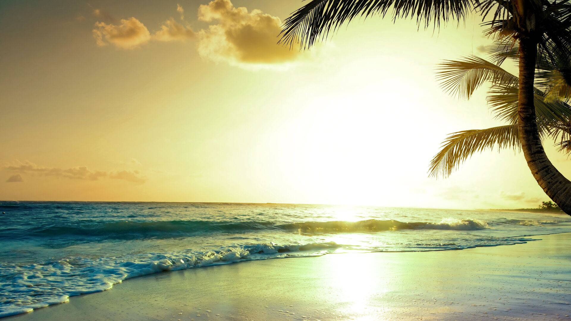 Tropisk solnedgang strand sommer vibes Wallpaper