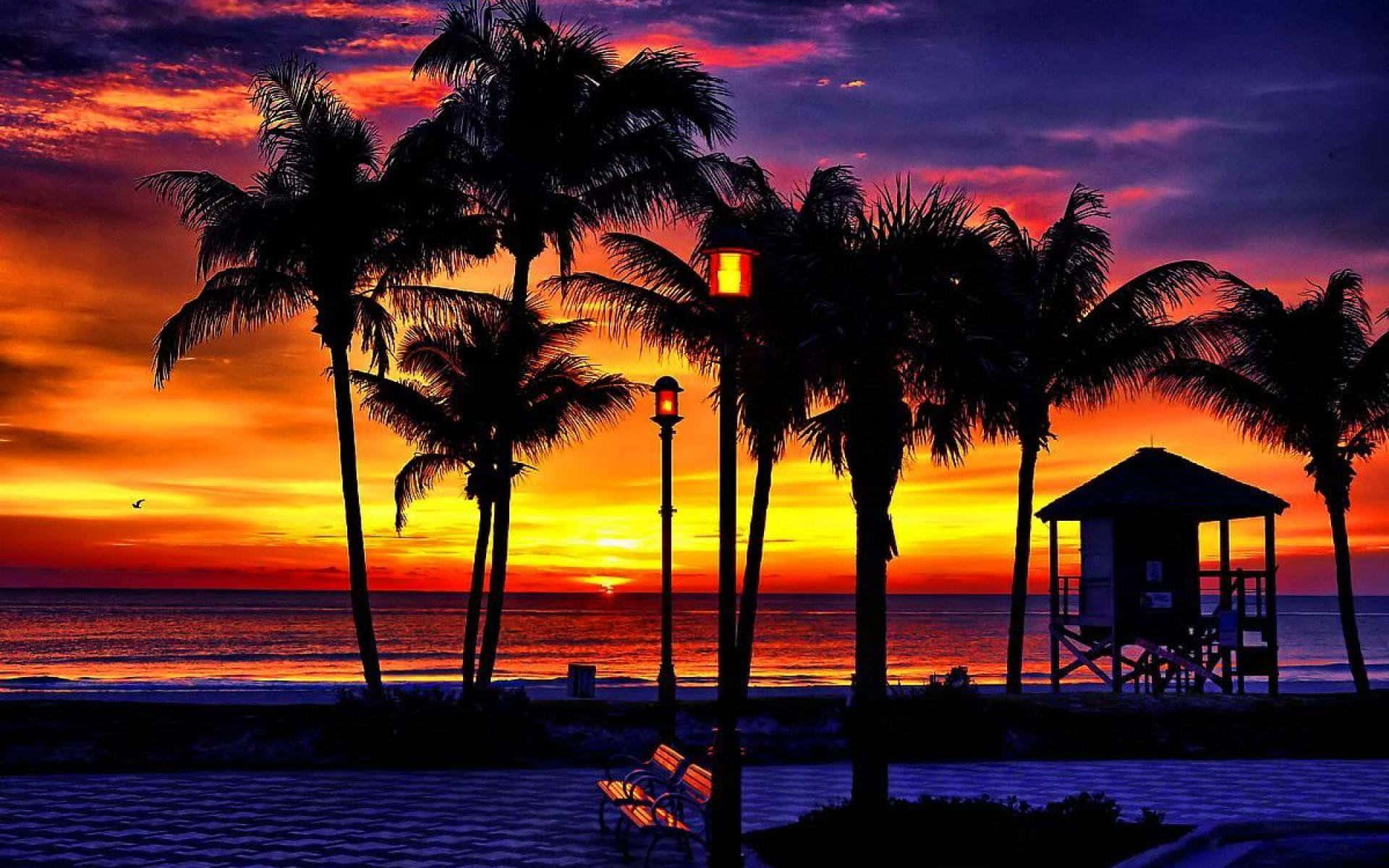 Tropical Sunset Beachside Wallpaper