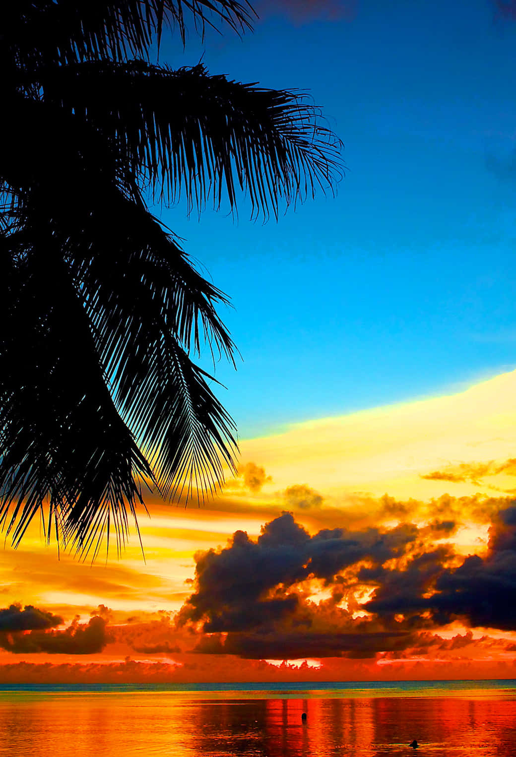 Tropischersonnenuntergang Mit Blauem, Gelbem Und Orangem Himmel. Wallpaper