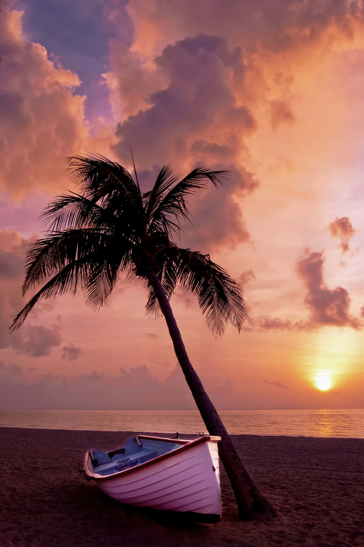 Tropical_ Sunset_ Boat_and_ Palm_ Tree Wallpaper