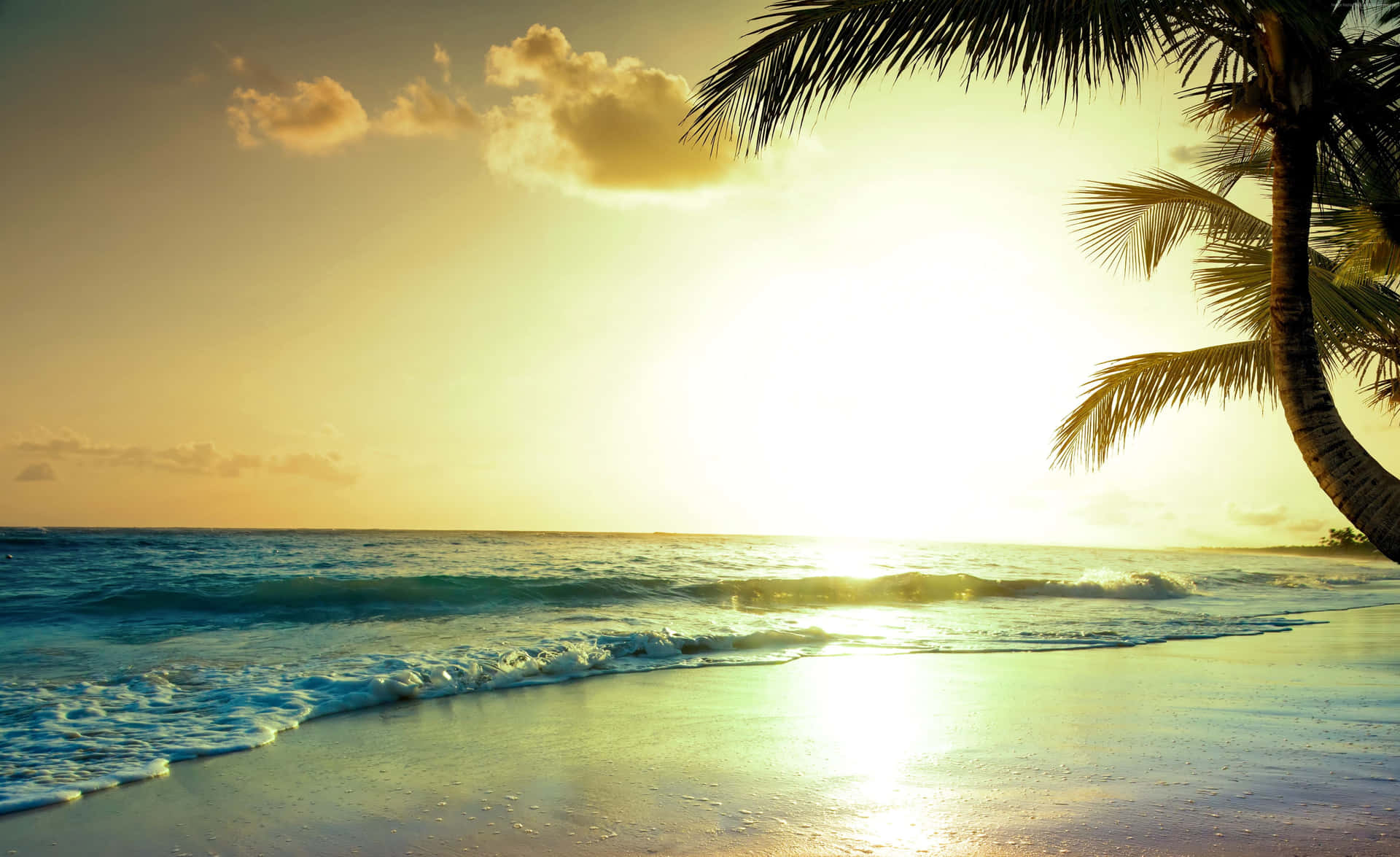 Tropisk solnedgang, strålende lys, rolig hav. Wallpaper