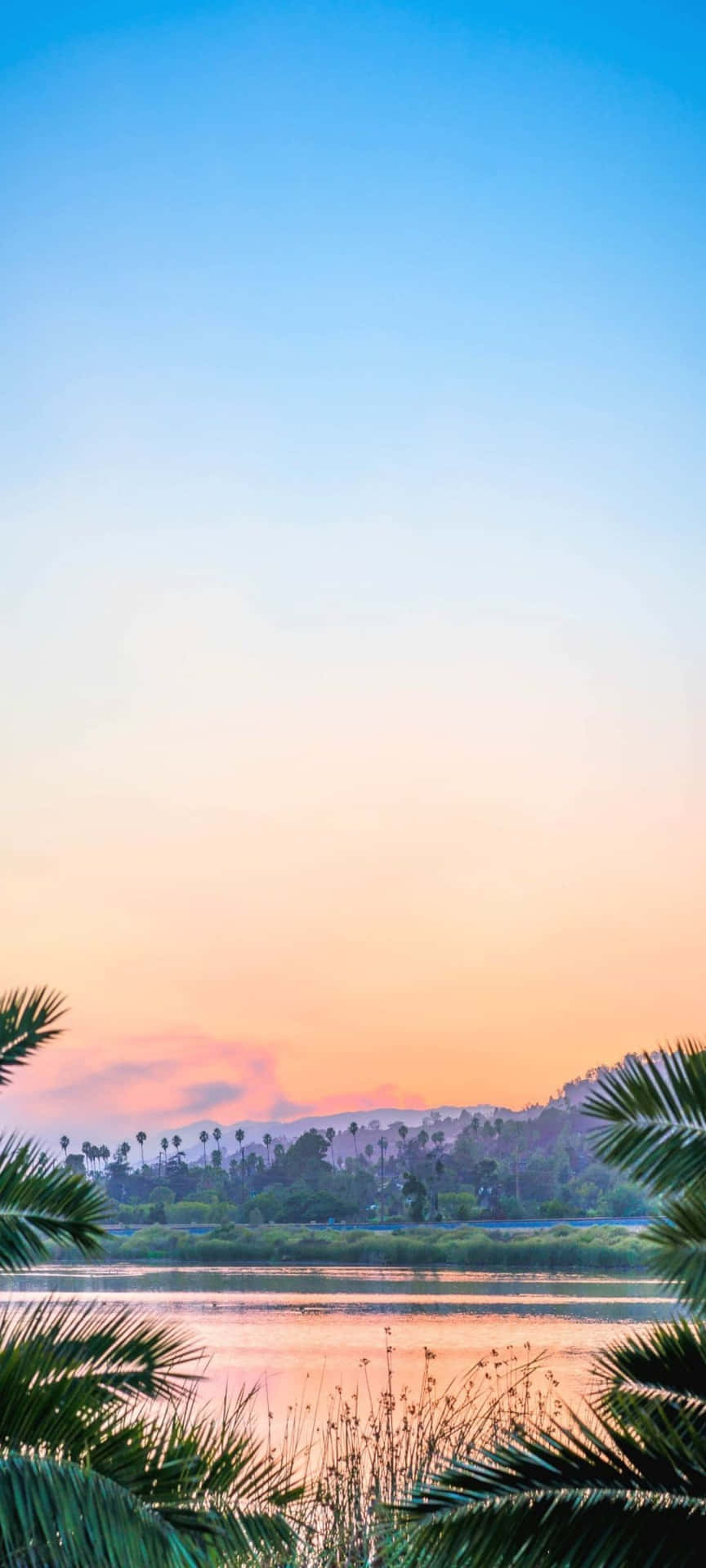 Tropical Sunset Landscape Wallpaper