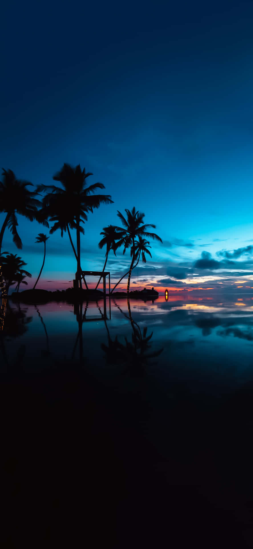 Tropical Sunset Light Blue Skies Wallpaper