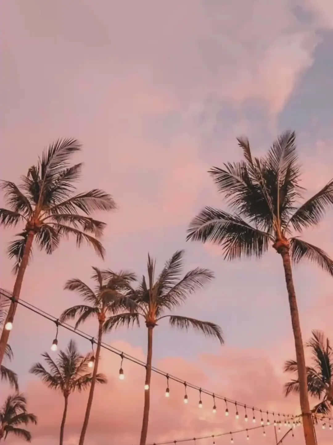 Tropical Sunset Palm Treesand String Lights.jpg Wallpaper
