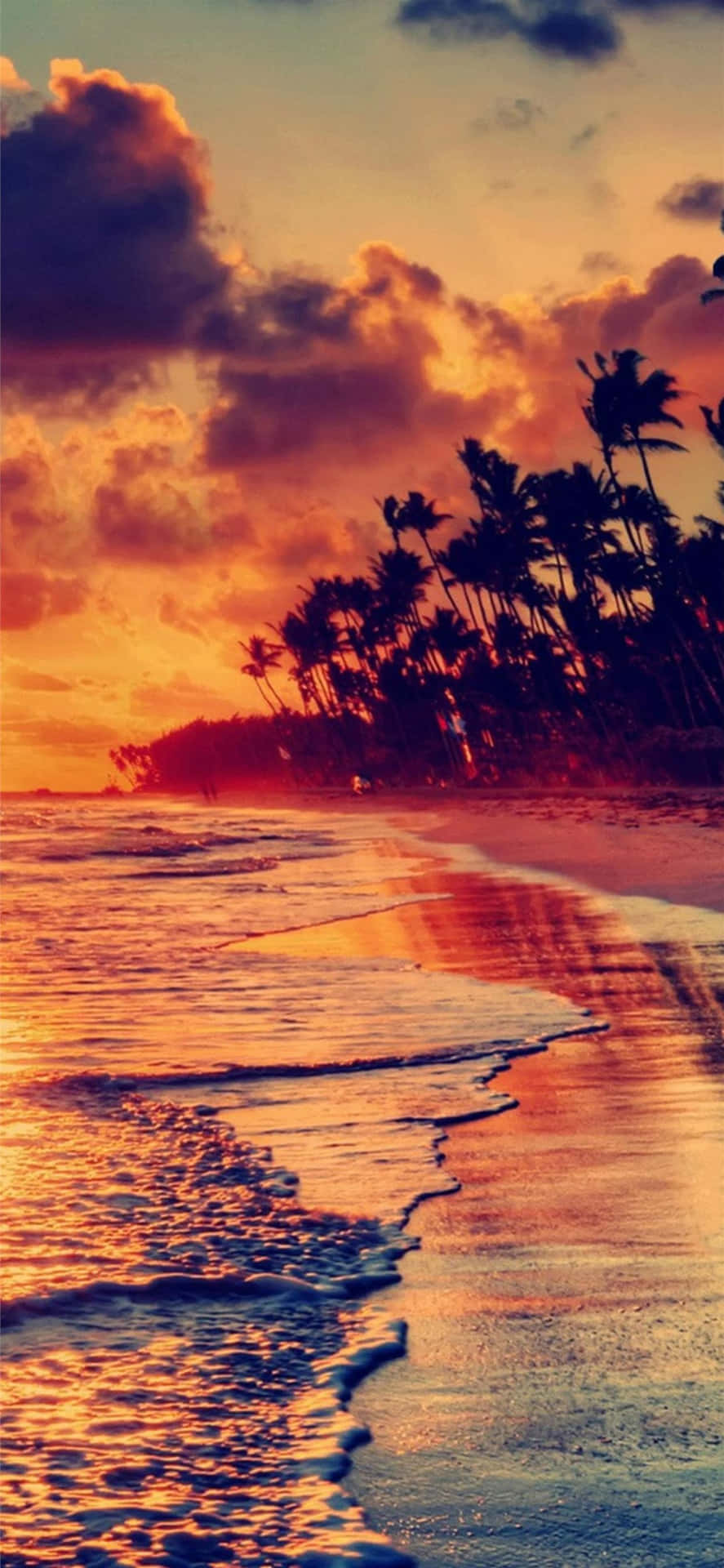Tropical Sunset Paradise Wallpaper