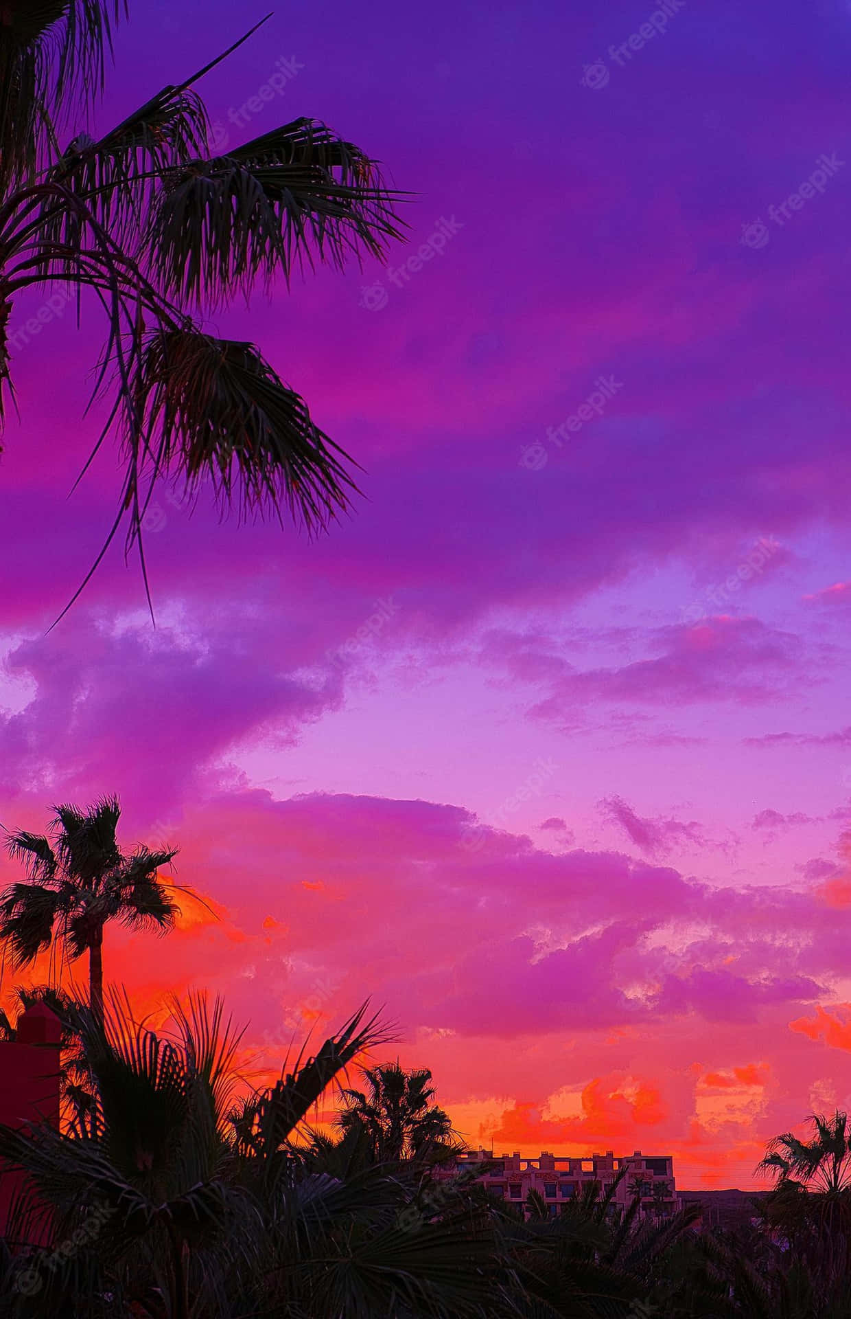 Tropischersonnenuntergang Mit Violettem Und Orangem Himmel, Palmenbäumen Wallpaper
