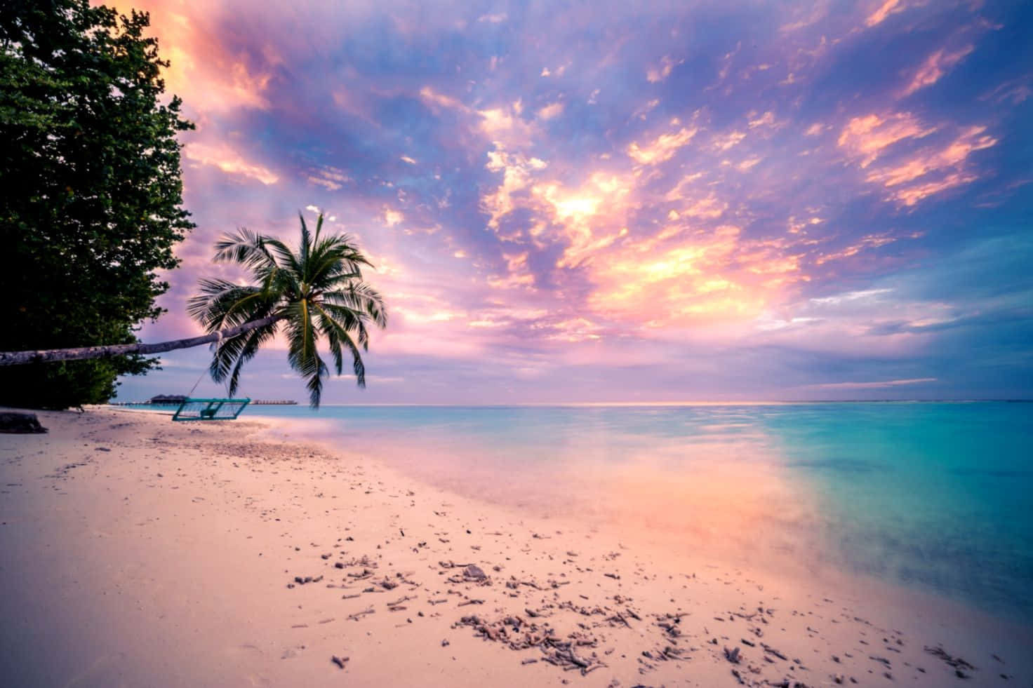 Tropical Sunset Purple Sky Wallpaper