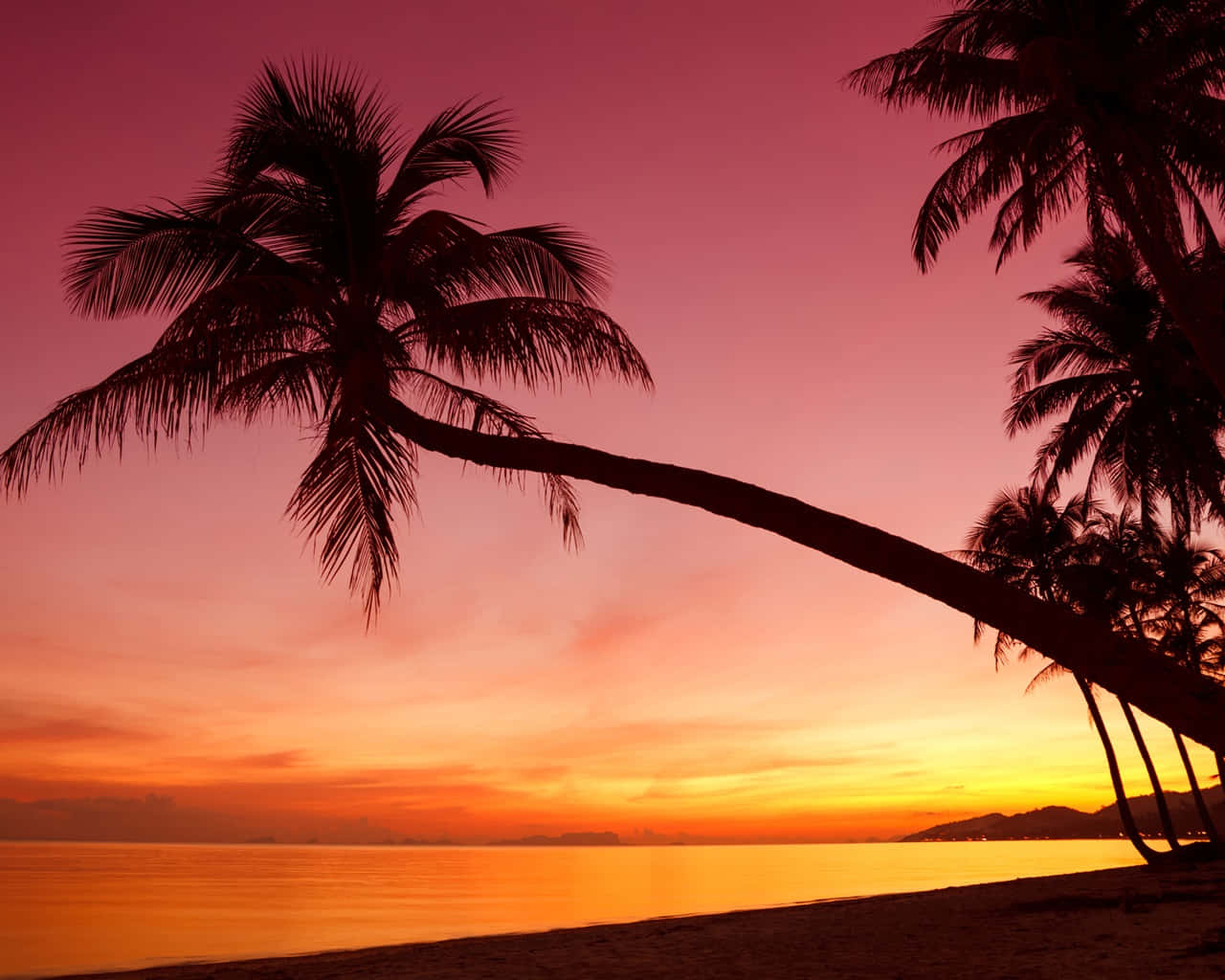 on Digital Background: Tropisk solnedgang, afslappende orange og lilla himmel på digital baggrund. Wallpaper