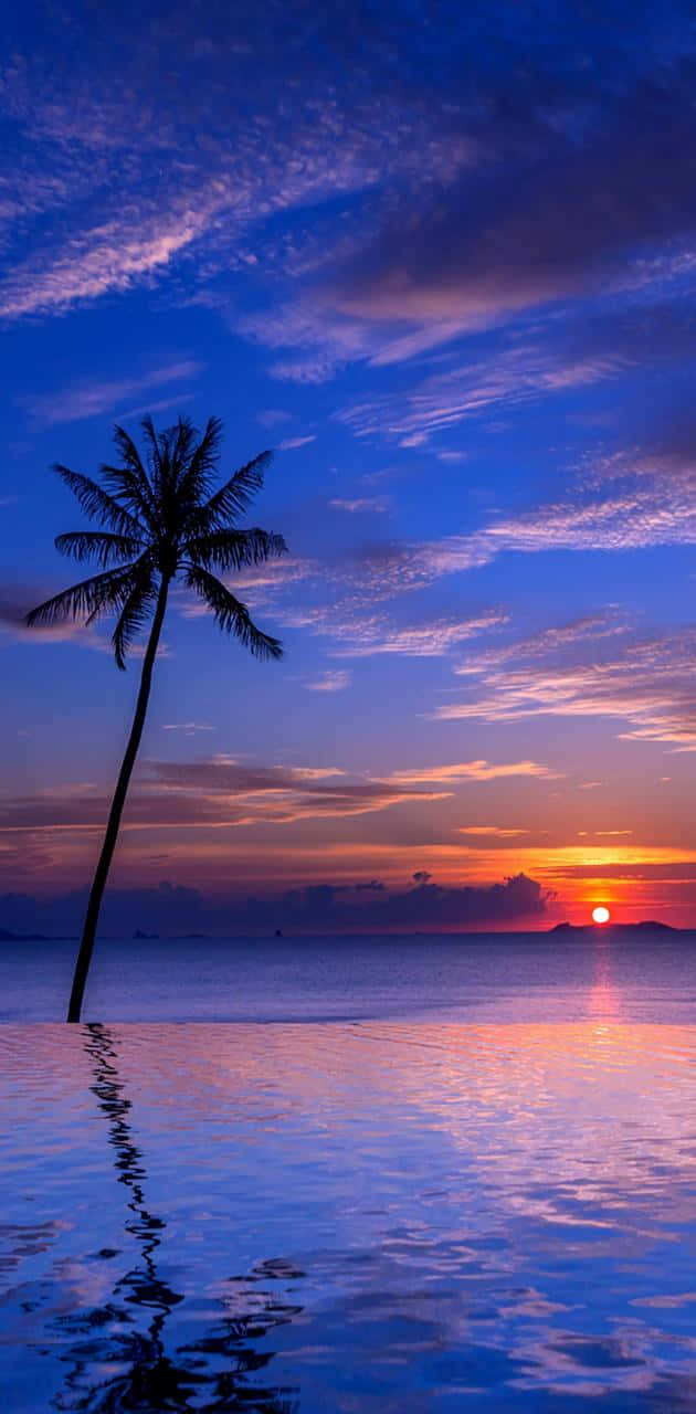 Loneliness Sea Beach Sunset 4K Ultra HD Mobile Wallpaper
