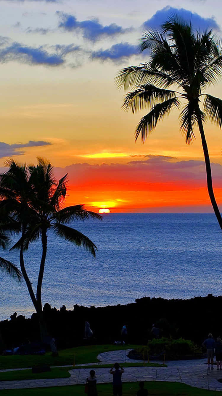 Tropical Sunset Vacation Resort Wallpaper