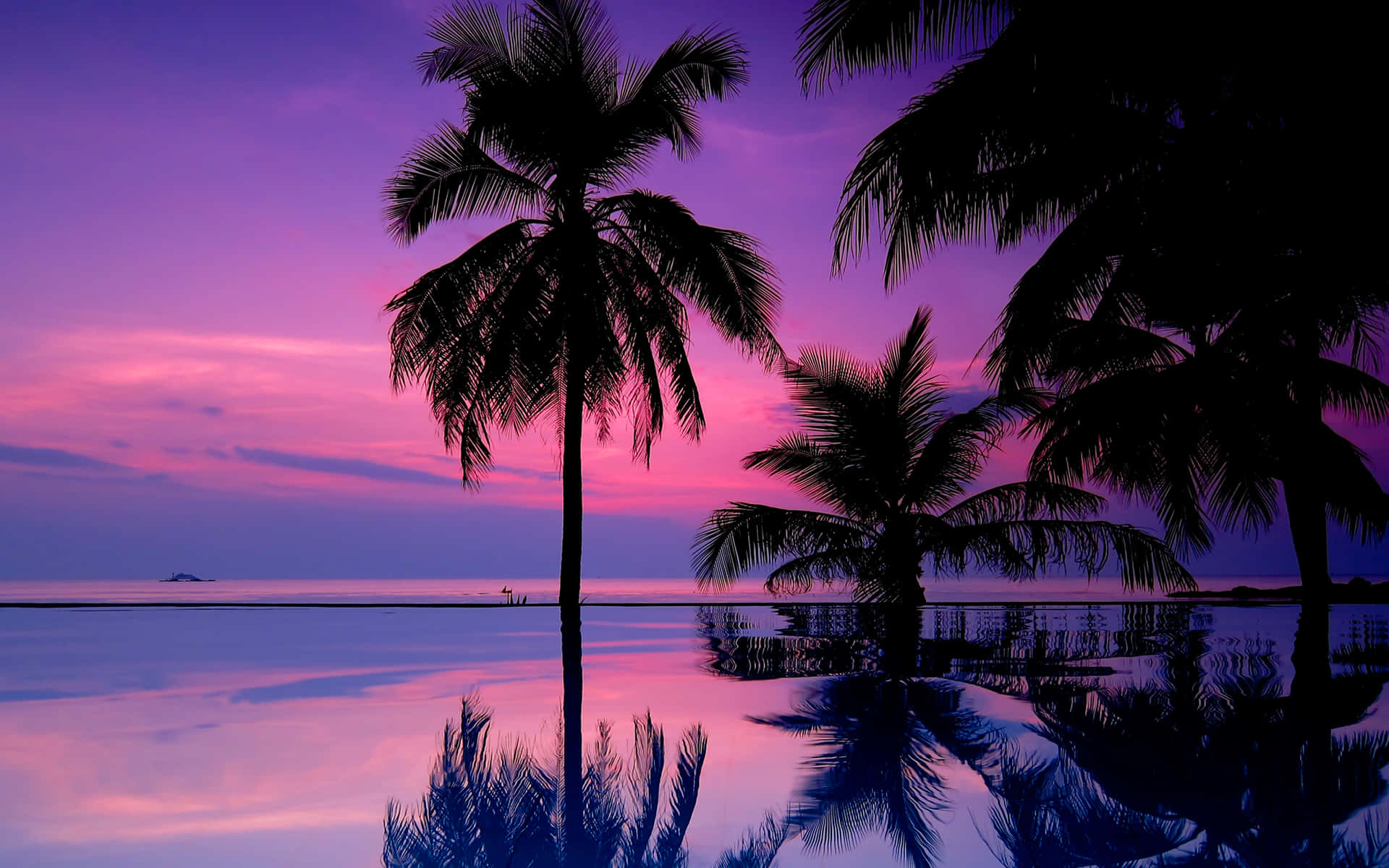 Tropischersonnenuntergang Mit Violettem Und Pinkem Himmel Wallpaper