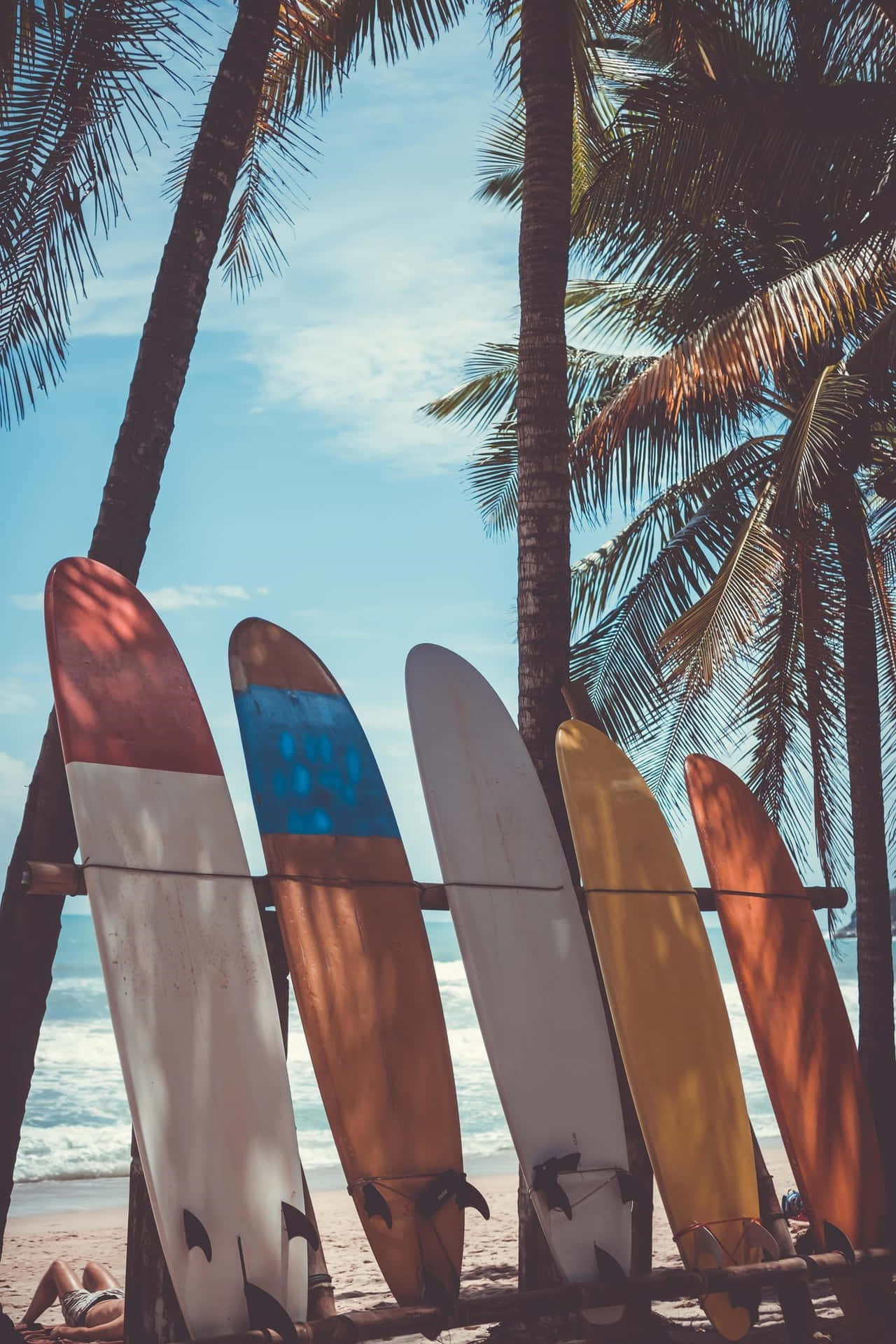 Tropical Surfboard Lineup Wallpaper