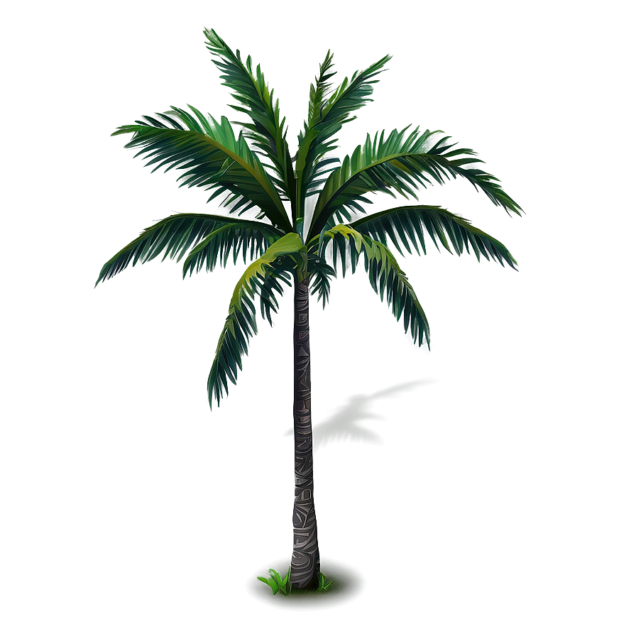 Tropical Tree Elevation Png 48 PNG