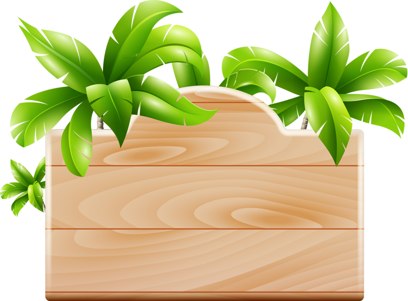 Tropical Tree Folder Icon PNG