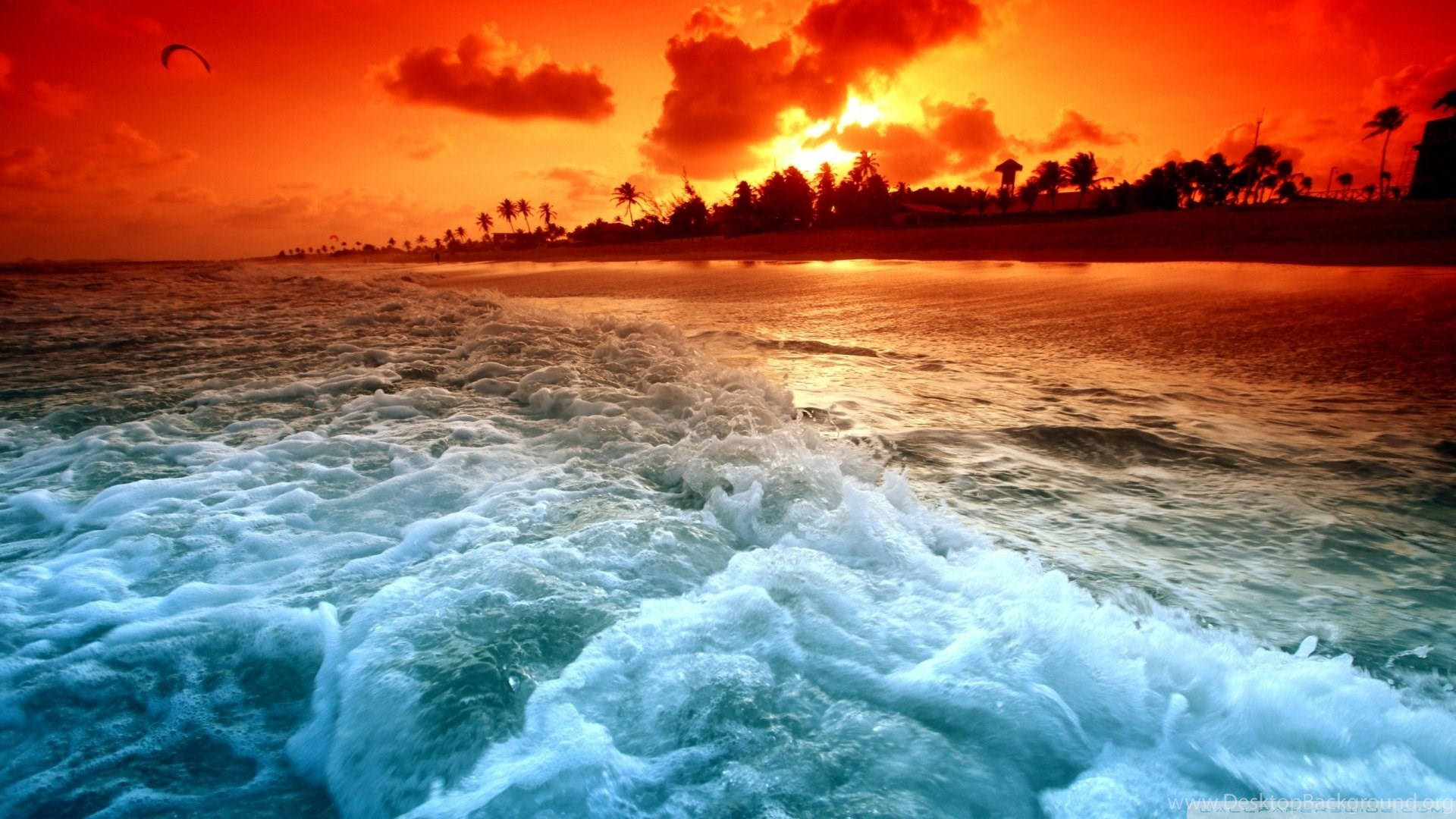 Tropical Warm Sunset Beach Wallpaper