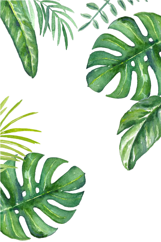 Tropical Watercolor Leaves Pattern PNG