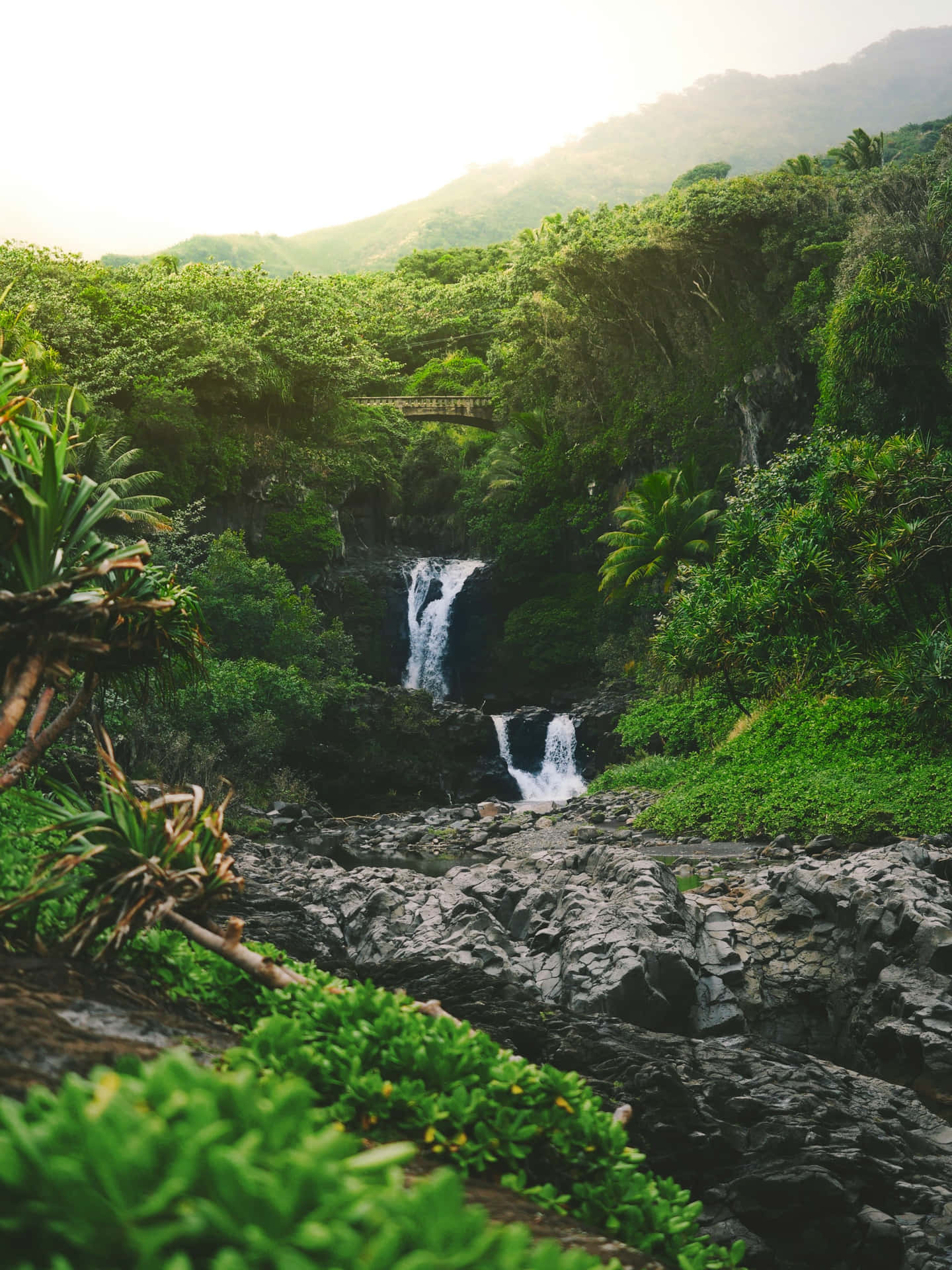 Tropical_ Waterfall_ Oasis.jpg Wallpaper