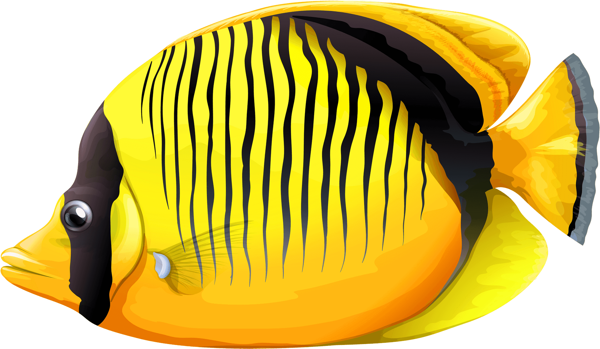 Tropical Yellow Black Striped Fish PNG