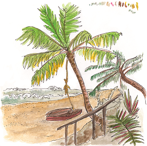 Tropical_ Beach_ Sketch_ Mozambique PNG