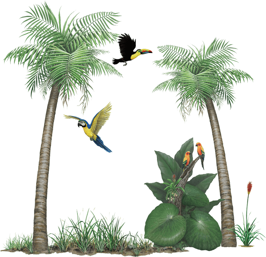 Tropical_ Birds_ Amidst_ Palm_ Trees PNG