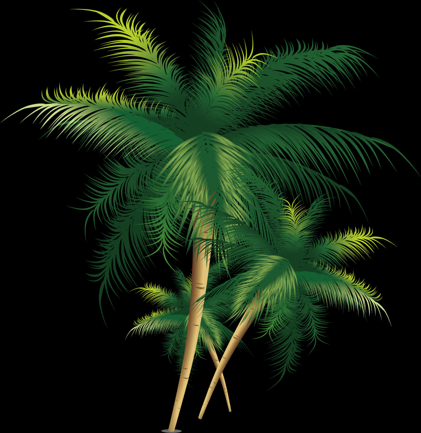 Tropical_ Coconut_ Trees_ Vector PNG