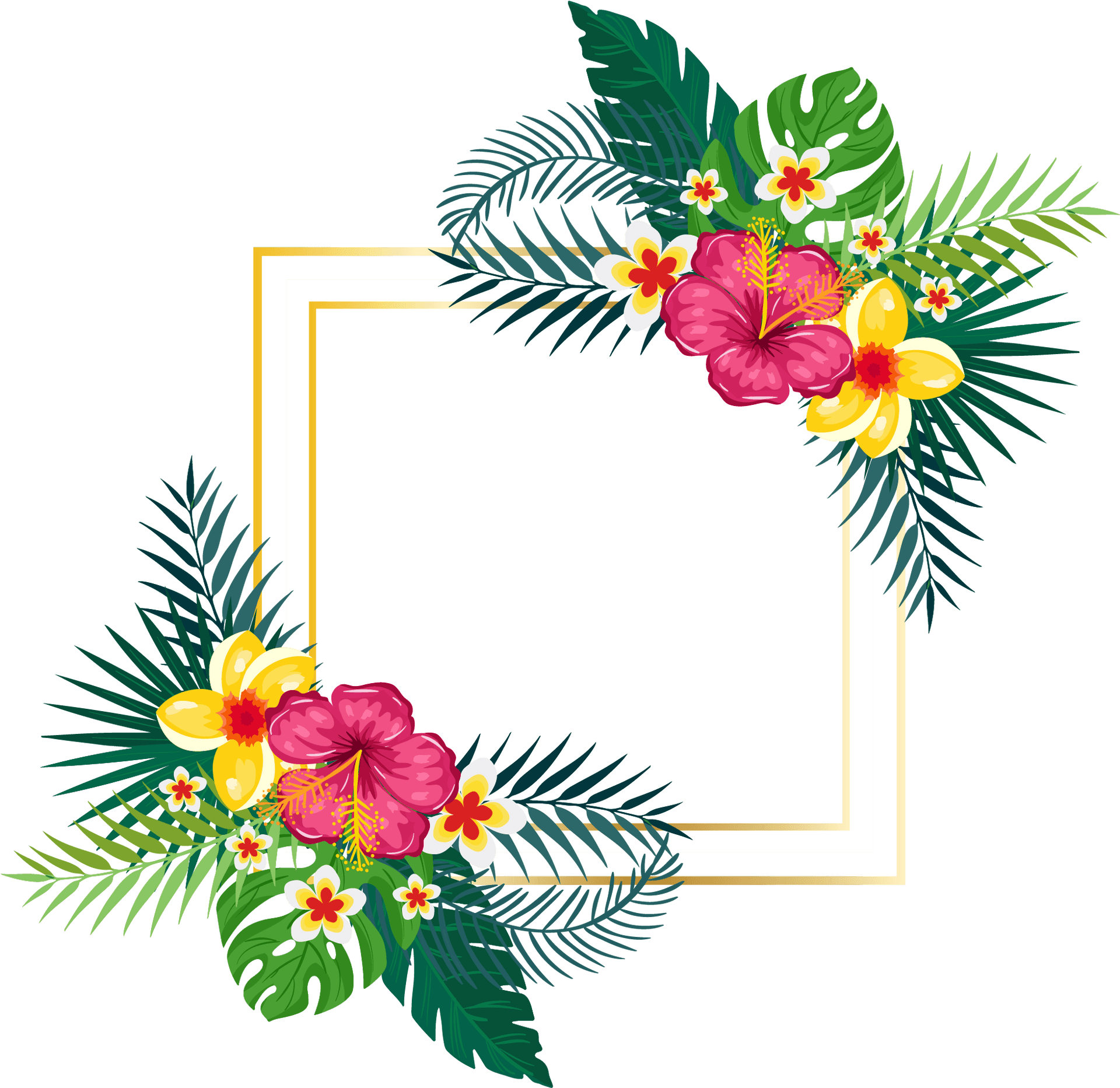 Tropical_ Floral_ Frame_ Summer_ Clipart PNG