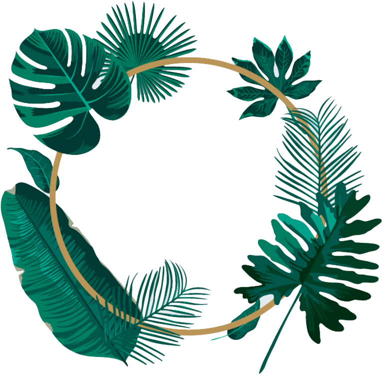 Tropical_ Leaves_ Circle_ Frame.png PNG