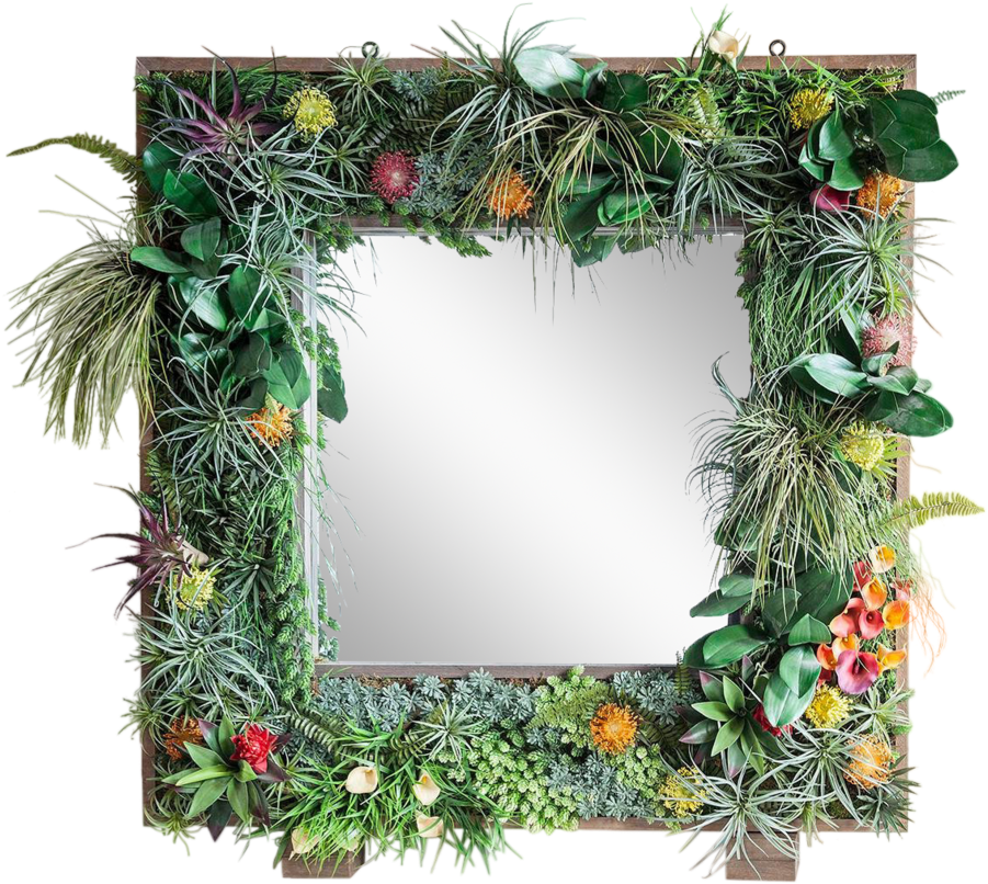 Tropical_ Plant_ Frame_ Mirror PNG