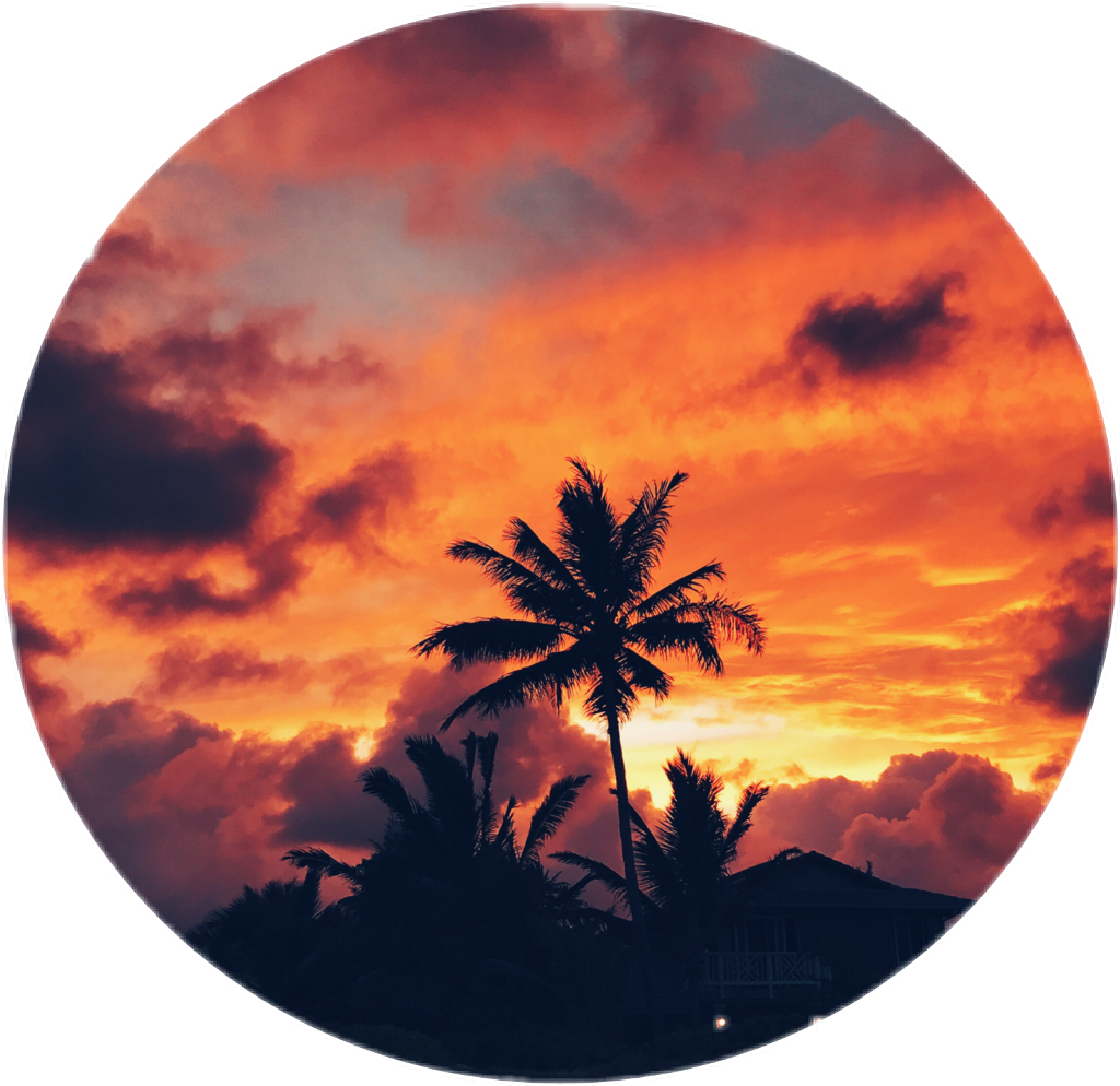 Tropical_ Sunset_ Glow PNG