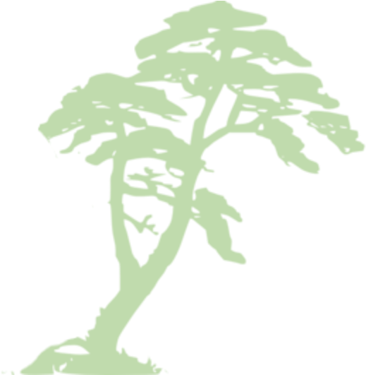 Tropical_ Tree_ Silhouette PNG